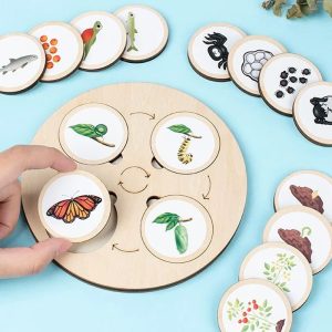 برد آموزشی پازل علمی