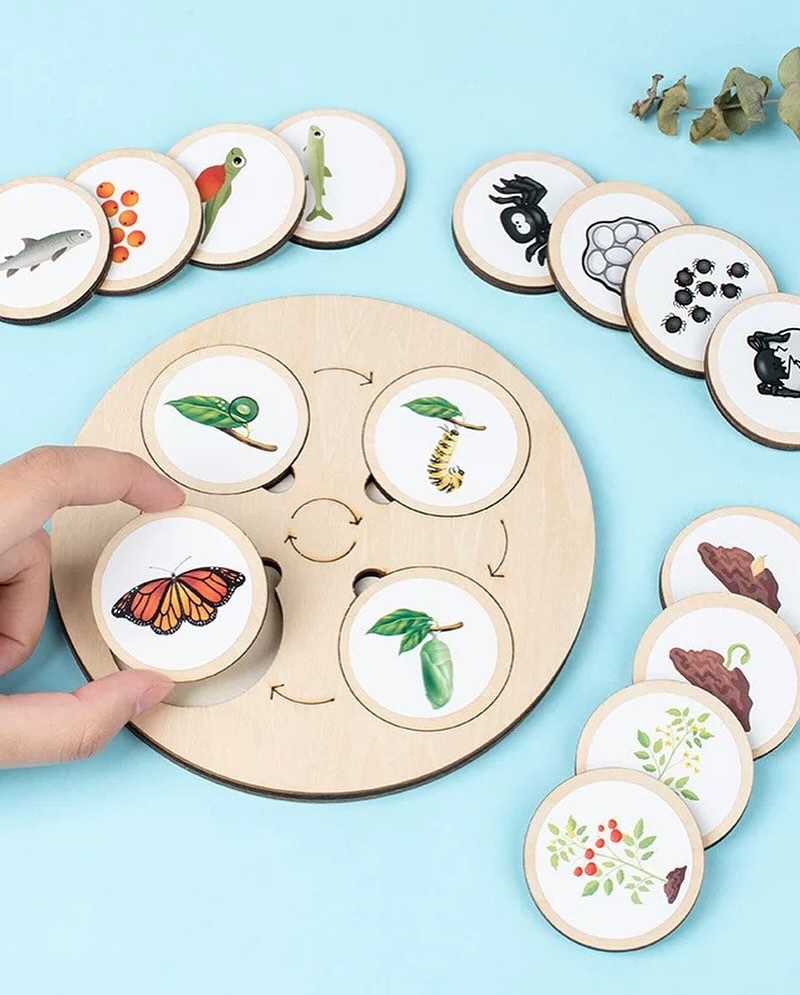 manazii.group_14040516_002554143