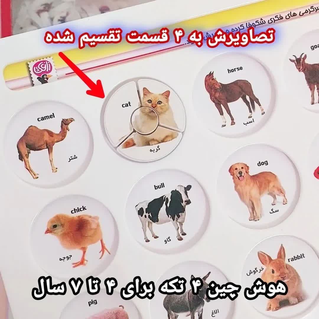 هوش-4چین-تیکه